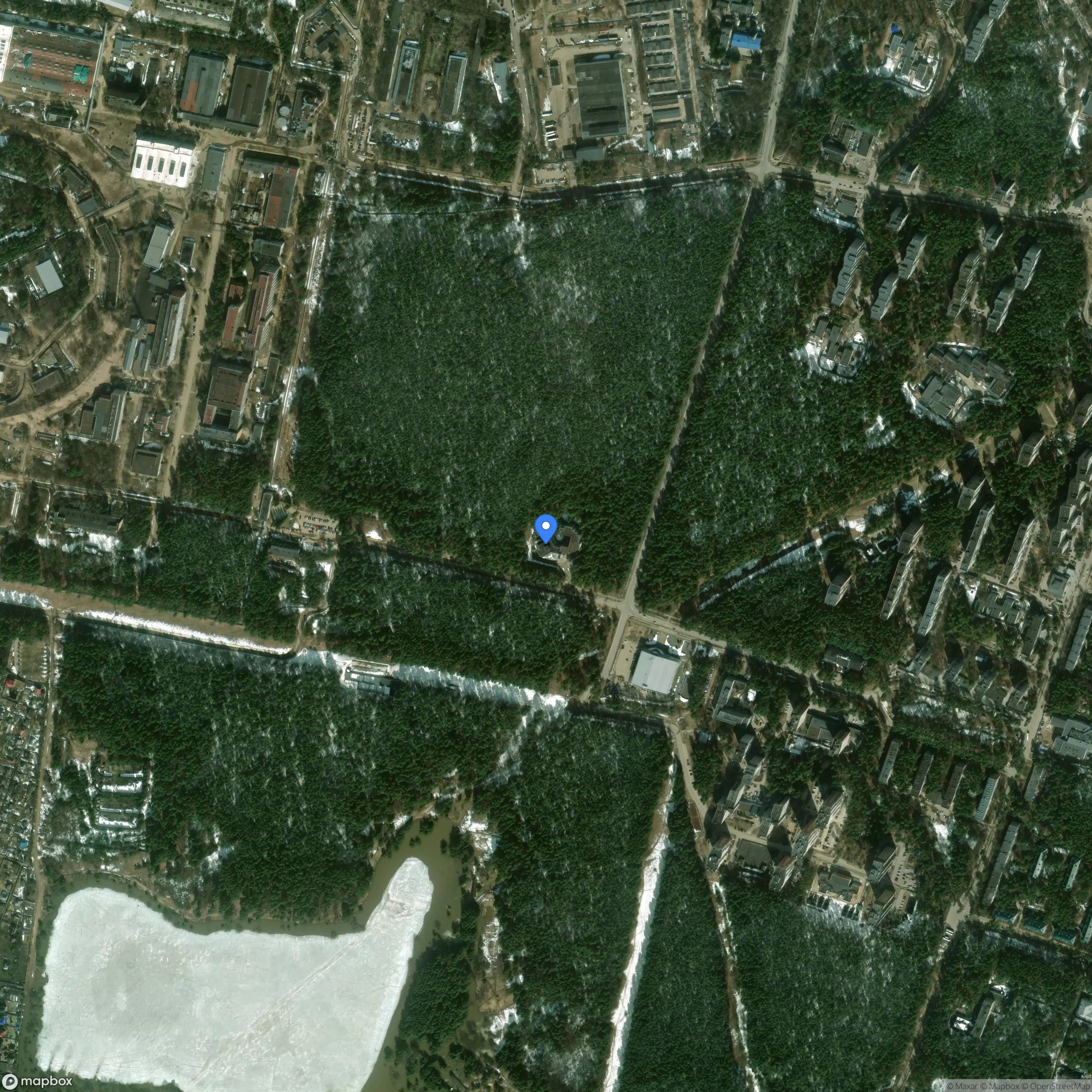 Institute for High Energy Physics