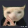 Profile picture of @homam