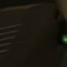 Profile photo of funnybunny