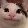 Profile picture of @jworld