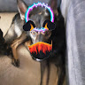 Profile picture of John