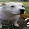 Profile picture of @yeab