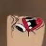 Profile picture of @oddments-948