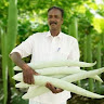Profile picture of @radhakrishnan-k