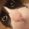 Profile picture of @little-mahmut
