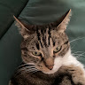 Profile picture of @soulsnag