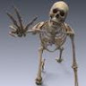 Profile picture of roopfl
