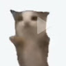 Profile picture of @eemil-ronkko