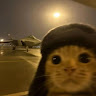 Profile picture of @pax-live