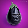 Profile picture of Melyx