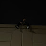 Profile picture of Kittypounder69
