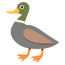 Profile picture of Deko-Fuller