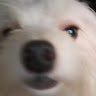 Profile picture of @ana