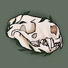 Profile picture of Amollya