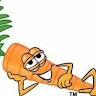 Profile picture of karrot