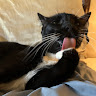 Profile picture of Sebbyinator