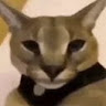 Profile picture of @heker