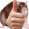 Profile picture of @andrewww