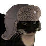 Profile picture of @tanky-tonk