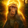 Profile picture of Coolfella