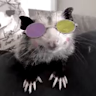 Profile picture of @derpoint