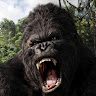 Profile picture of @oscar-terres-moreno