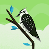 Profile picture of Pc_vivant
