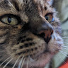 Profile picture of @ake-cederlof