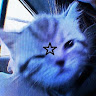 Profile picture of @alessandra-moldiz