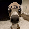 Profile picture of @b-brewster