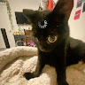 Profile picture of @esme