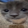 Profile picture of @zaqu