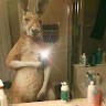 Profile picture of @rogelio