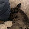 Profile picture of Noah