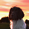 Profile picture of Mint