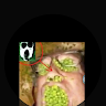 Profile picture of @cruz-m