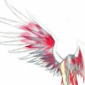 Profile picture of qenev