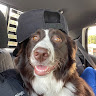 Profile picture of Joss