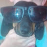 Profile picture of Benq