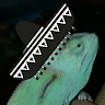 Profile picture of @aleks-czerwinski