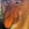 Profile picture of @jonathan-g
