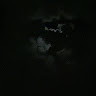 Profile picture of @lil-twisted1