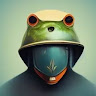 Profile picture of frogst3r