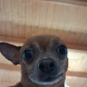 Profile picture of @jebe-sprzeglo