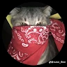 Profile picture of CandySkullz