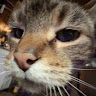 Profile picture of @jaidyn-lamarche