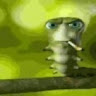 Profile picture of @lapatate