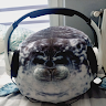 Profile picture of Yoka