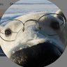 Profile picture of @orso-stefanelli