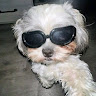 Profile picture of itzsamikqq